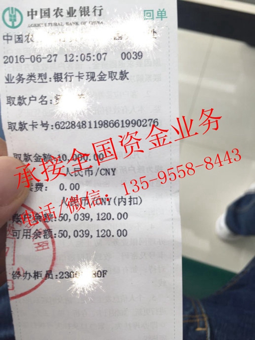 代打余额小票 存取小票图片(图1)